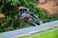 PJ-Motorsport-2019;anglesey;brands-hatch;cadwell-park;croft;donington-park;enduro-digital-images;event-digital-images;eventdigitalimages;mallory;no-limits;oulton-park;peter-wileman-photography;racing-digital-images;silverstone;snetterton;trackday-digital-images;trackday-photos;vmcc-banbury-run;welsh-2-day-enduro